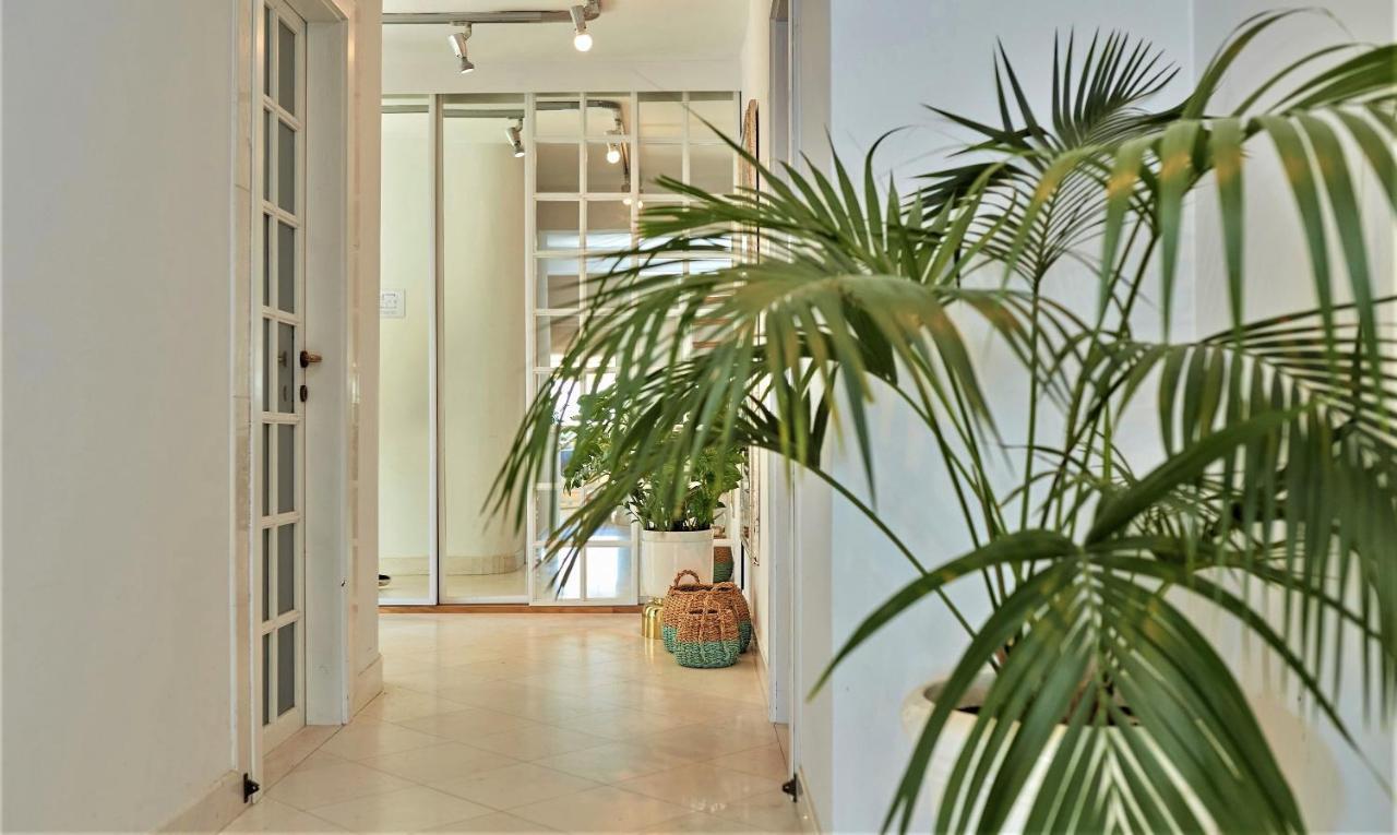 Villa King دوبروفينك المظهر الخارجي الصورة